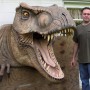 T-Rex For Universal Studios